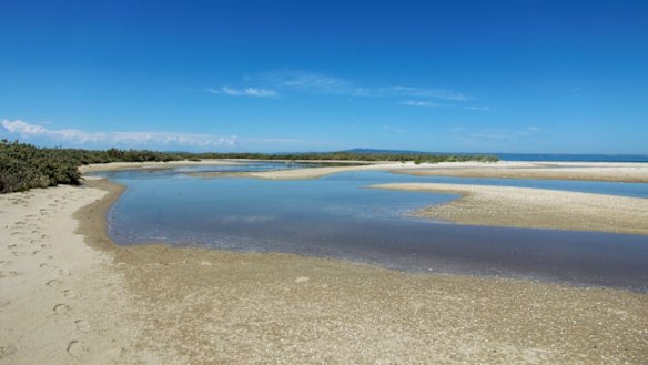 Mud Island's lagoon is in a constant state of flux.