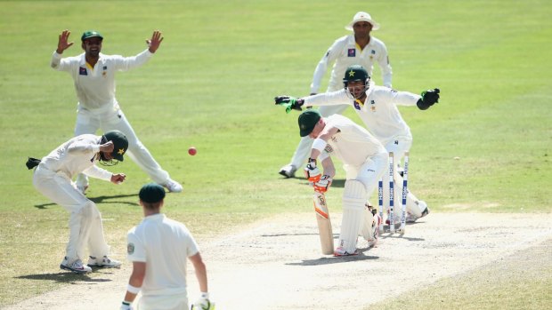 In a spin: Brad Haddin is bowled by Zulfiqar Babar in the first Test.