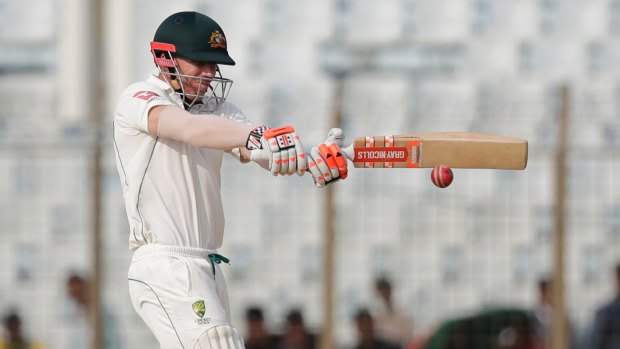 Easy pickings: David Warner hits out during Australia's chase of a small total.