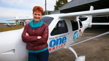 Pauline Hanson poses in front of the One Nation plane during her 'Fed Up' tour.