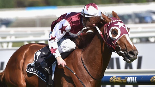 Stratum Star, pictured racing on Caulfield Cup day, has won the Kingston Town Classic.