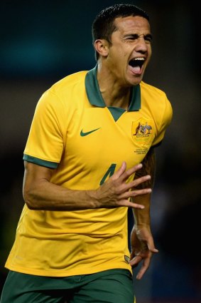 Household name: Tim Cahill is the only Socceroo in the World Cup squad who has a nationwide profile.