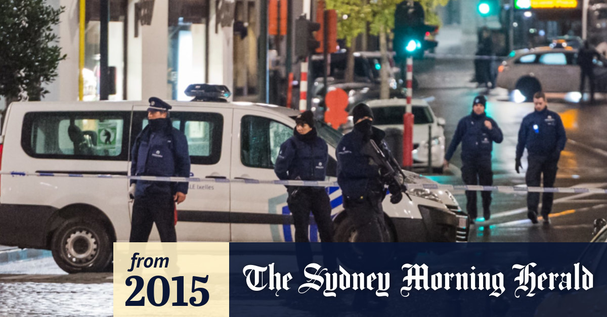 Paris Attacks In Lockdown Belgians Let The Cat Out Of The Bag Literally