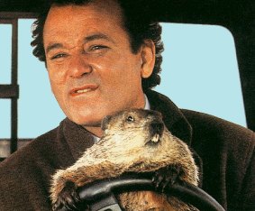 Fangs for the memories: Bill Murray in <i>Groundhog Day</i>. 