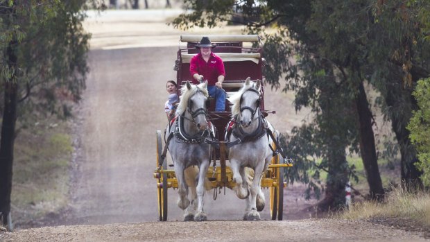 Mathew Jones with his wife Sarah and one-year-old son Jackson go for a ride in their Cob & Co coach. Mr Jones will attend the Lost Trades Fair this weekend in Kyneton. 