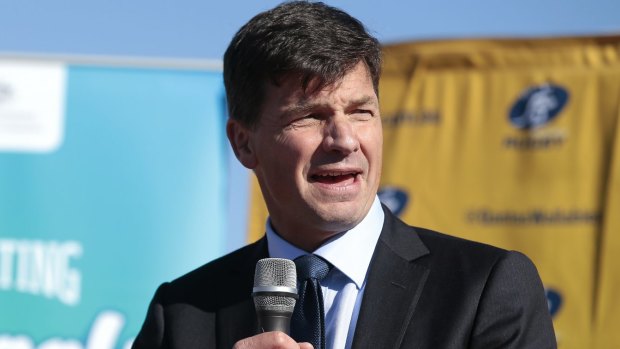  Also under threat: Liberal MP Angus Taylor