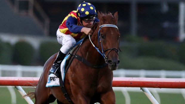 Ryan Maloney rides Nature Strip to victory at Moonee Valley last year.