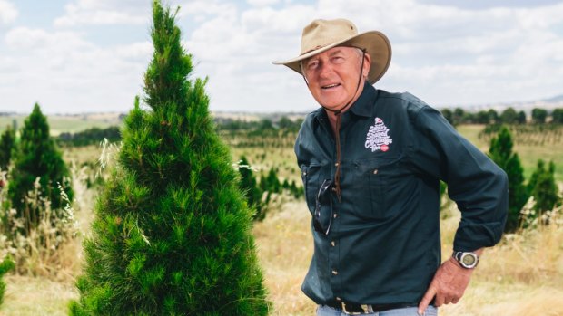 Ziggy Kominek from Santa's Shaped Christmas Tree Farm said he's already sold 1500 trees.