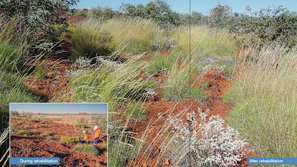 The second example given in the paperwork was of a seed management program run by BHP Billiton in the Pilbara. 