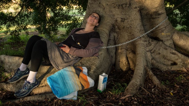 Locals chain themselves to trees that face the chop for Sydney light rail in Randwick
