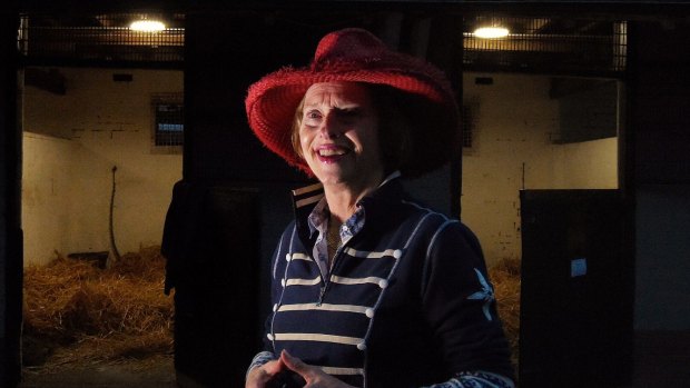 Not finished yet: Gai Waterhouse at her stables in Kensington.