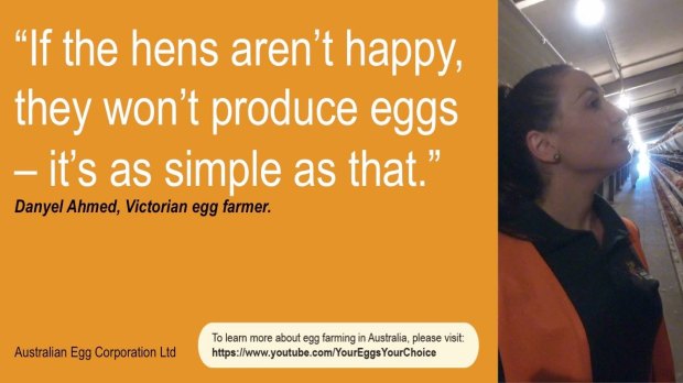 Social media users questioned the science behind the caged egg industry's claim about a hen's happiness.