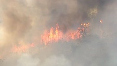 By Friday evening, the bushfire had torn through "a couple of hundred hectares" according QFES deputy commissioner Mark Roche.
