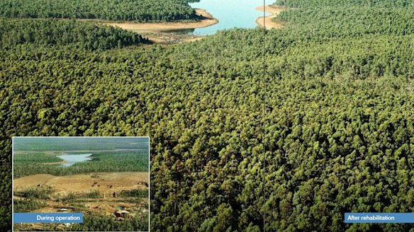 The Minerals Council of Australia submission gave two positive examples of rehabilitation in WA: this, the first, was Alcoa's Huntly and Willowdale Mines, but the committee learnt that the company failed to provide corrective action when the restoration was failing. 