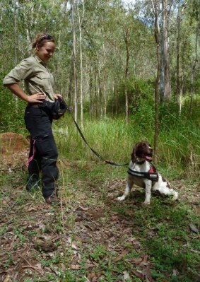Olivia Woosnam with Taz, the koala detection dog.