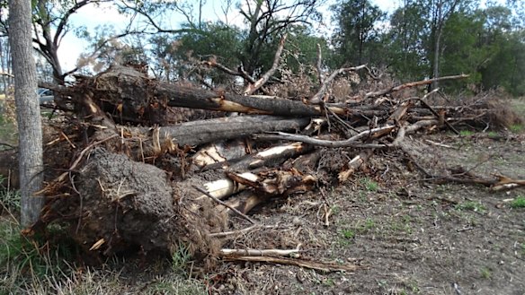 Croppa Creek clearing goes on: November 2015.