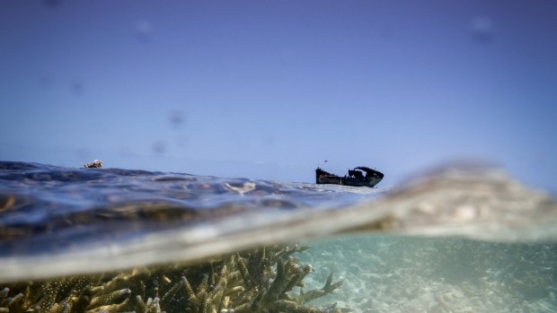 Coral bleaching at the Great Barrier Reef.