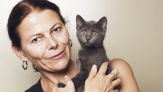 Kristina Vesk, CEO of the Cat Protection Society of NSW, with a domestic shorthair kitten.