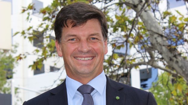 Angus Taylor insists all donations he solicited were 'disclosed and compliant'.