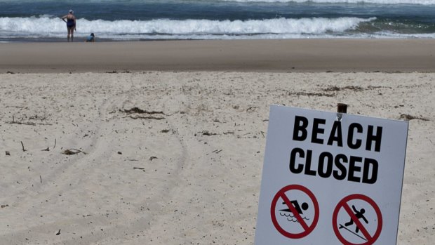 Scarborough Beach has been closed due to a shark sighting. 