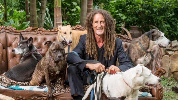 Martin McKenna with his dogs (front from left) Boy and Snowy and (back row) Farouk, Piglet, Fergus and Sean at his Nimbin property.