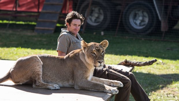 Trainer Matthew Ezekial of  Stardust Circus with a lion. 