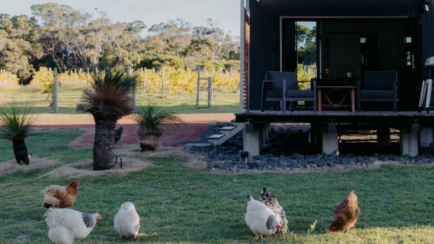 Close to the white sand of Smith's Beach,Barn Hives is an ideal base for exploring the Margaret River region's food and wine scene.