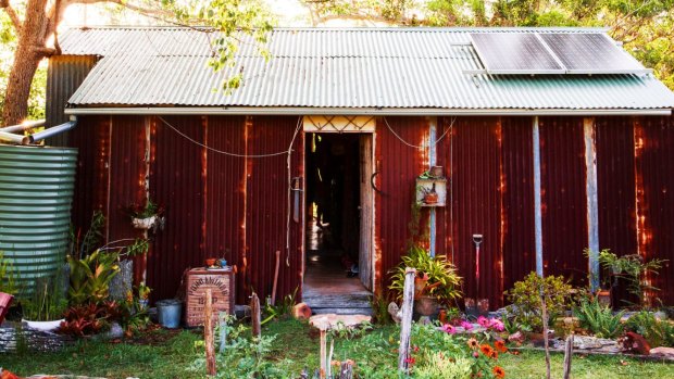 Stefanie Bassett lives off the grid in her home near Lismore, and took some time to find an expert to verify the painting was a Margaret Olley.