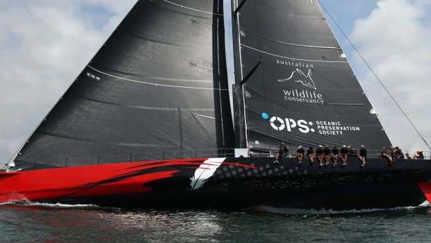 On the warpath: New US maxi Comanche undergoes trials on Sydney Harbour.