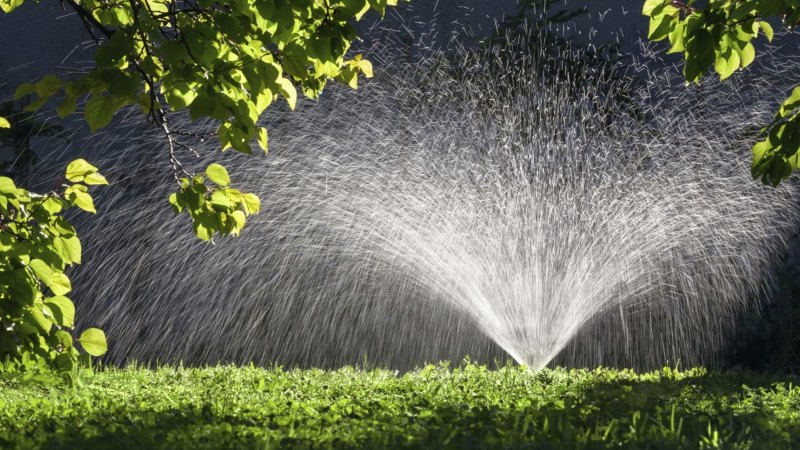 Now Is The Time To Shut Off Your Sprinklers If You Want To Avoid A Fine