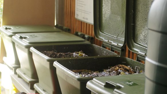 Bins are put to better use at the food garden at Mesa Verde.