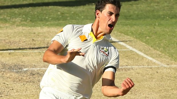 In the team: Mitchell Starc will play against India in the fourth Test at the SCG.
