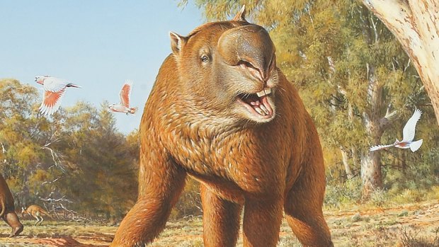 The diprotodon was a rhino-sized wombat that weighed about 2.8 tonnes.