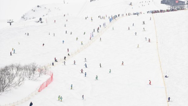 The ski fields at Hakuba, Japan have become the place for a family skiing pilgrimage.