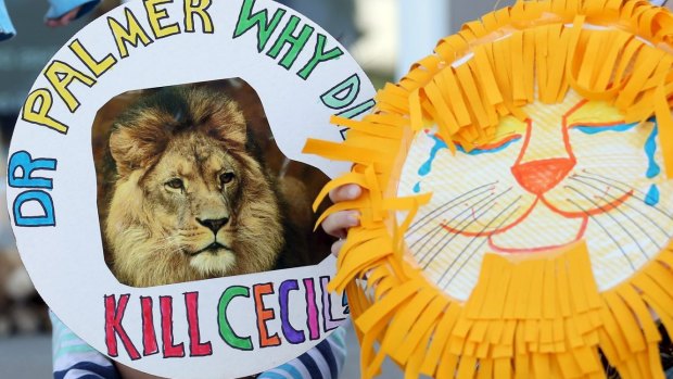 Outrage followed news that Cecil the lion had been killed by a game trophy hunter in Zimbabwe.