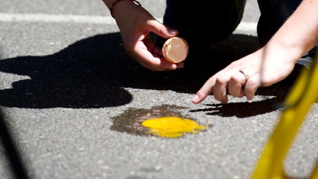 It turns out you can't fry an egg on the road on a hot day.