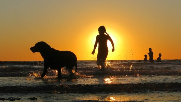 Dog days of summer across much of south-eastern Australia.