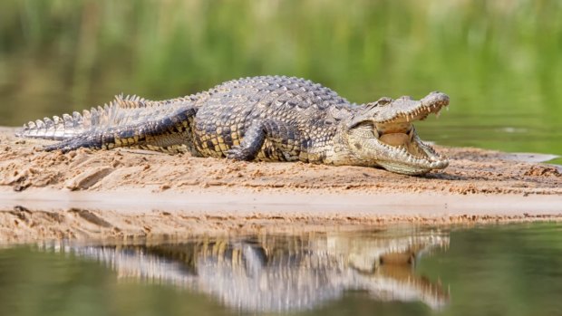 Another water hazard in the Zambezi River.