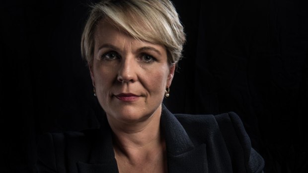Tanya Plibersek says she was stalked and threatened with rape while working as a women's officer at UTS. 