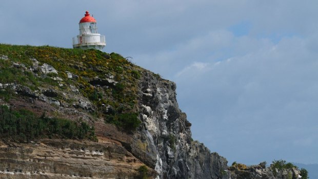 View of the Royal Albatross Centre at Taiaroa Head, Otago, South Island, New Zealand.