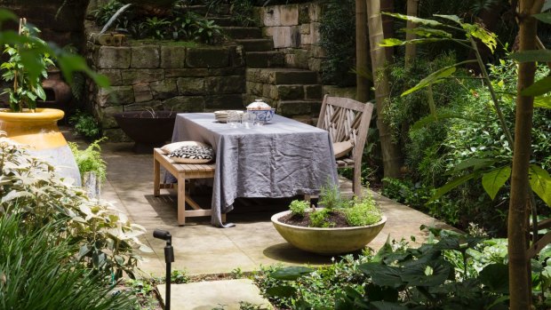 Wrap-around greenery creates a private retreat in Michael Bates' North Sydney garden.
