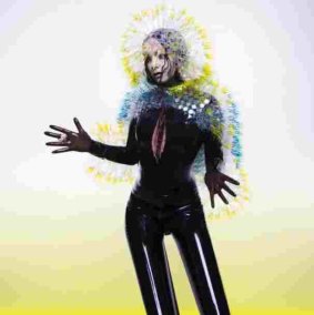 Bjork: Vulnicura.