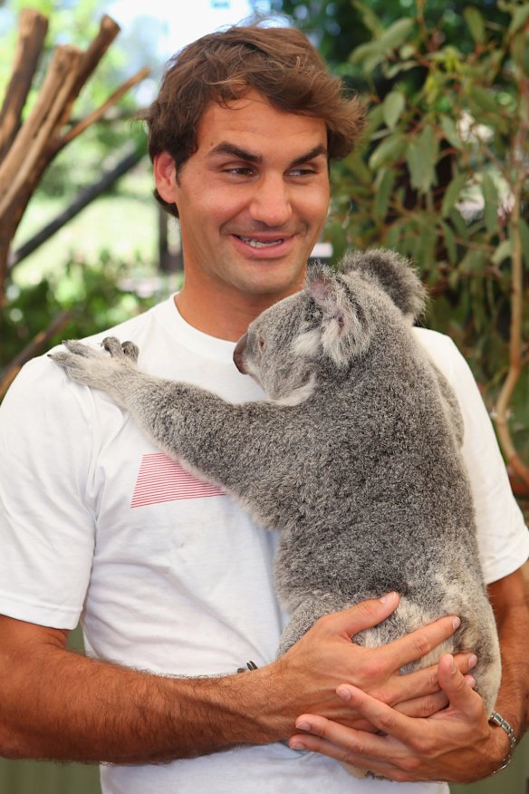 Tennis great Roger Federer holds at koala at Lone Pine in 2014.