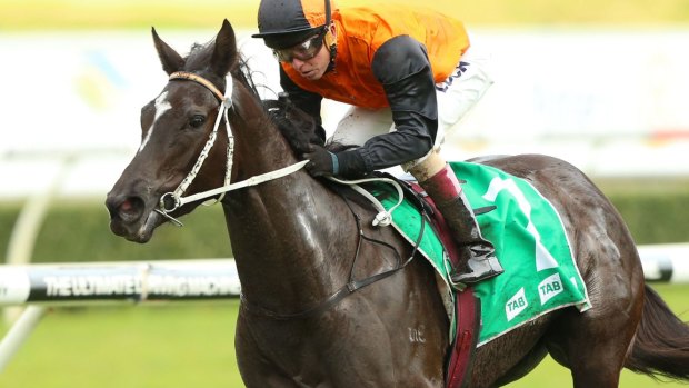 Costly error: Kerrin McEvoy rides Knit'N'Purl to win race 8.