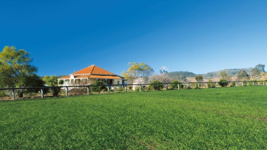 Queensland Health has advised Oakey residents not to eat eggs or drink milk from animals raised within the contamination zone.