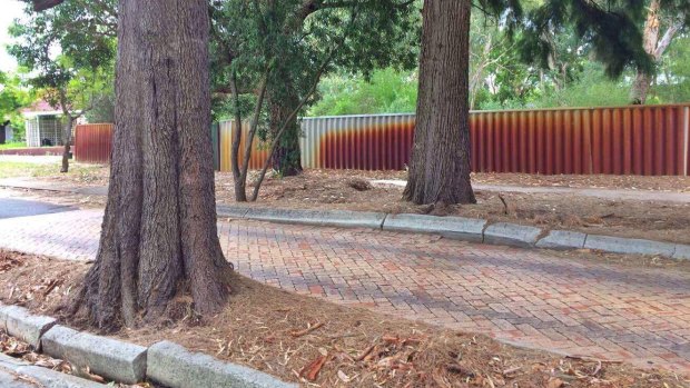 The paving is cracked, but WAtoday spoke to an expert who offered a solution. 