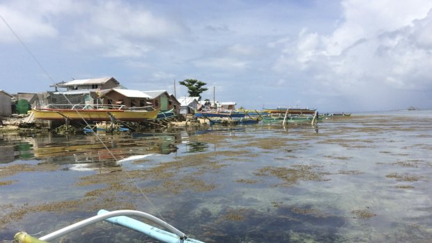 The islands of Leyte and Samar are prone to typhoons. Bountiful sea life drew fisherfolk to Victory Island, which bore the brunt of Haiyan, in the 1960s.
