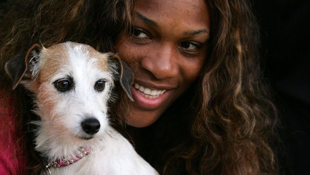 Serena Williams and pooch.