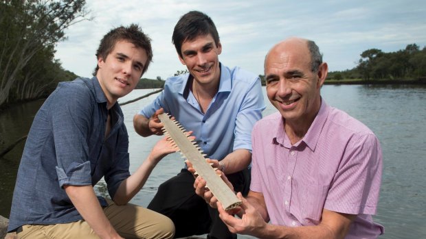 Newcastle University PhD student Sam Evans (left), David Bradney (centre) and Associate Professor Phil Clausen with the rostrum of a sawfish. 