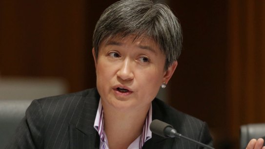 "This sort of throws up another broader systemic issue": Labor senator Penny Wong.  